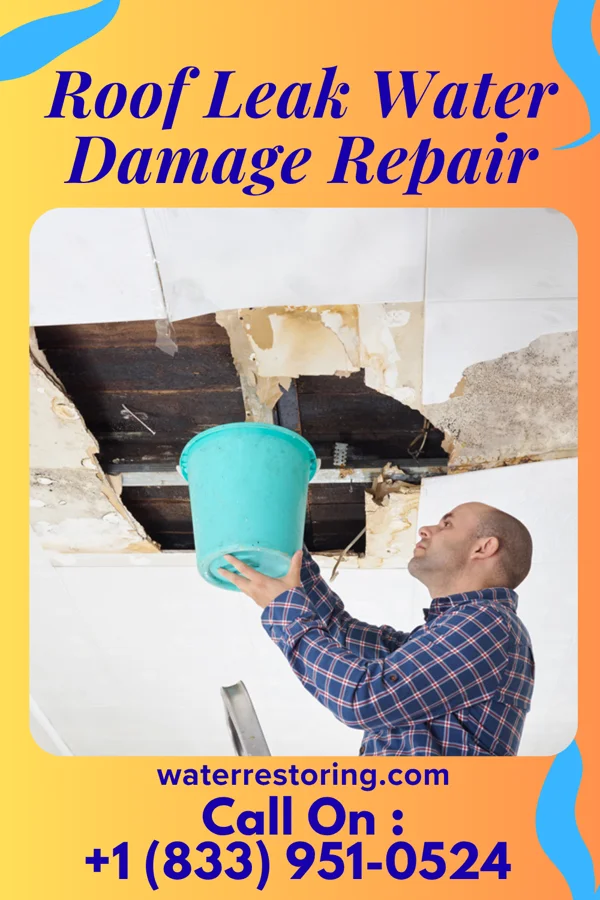 Roof Leak Water Damage Repair in Baldwin, FL